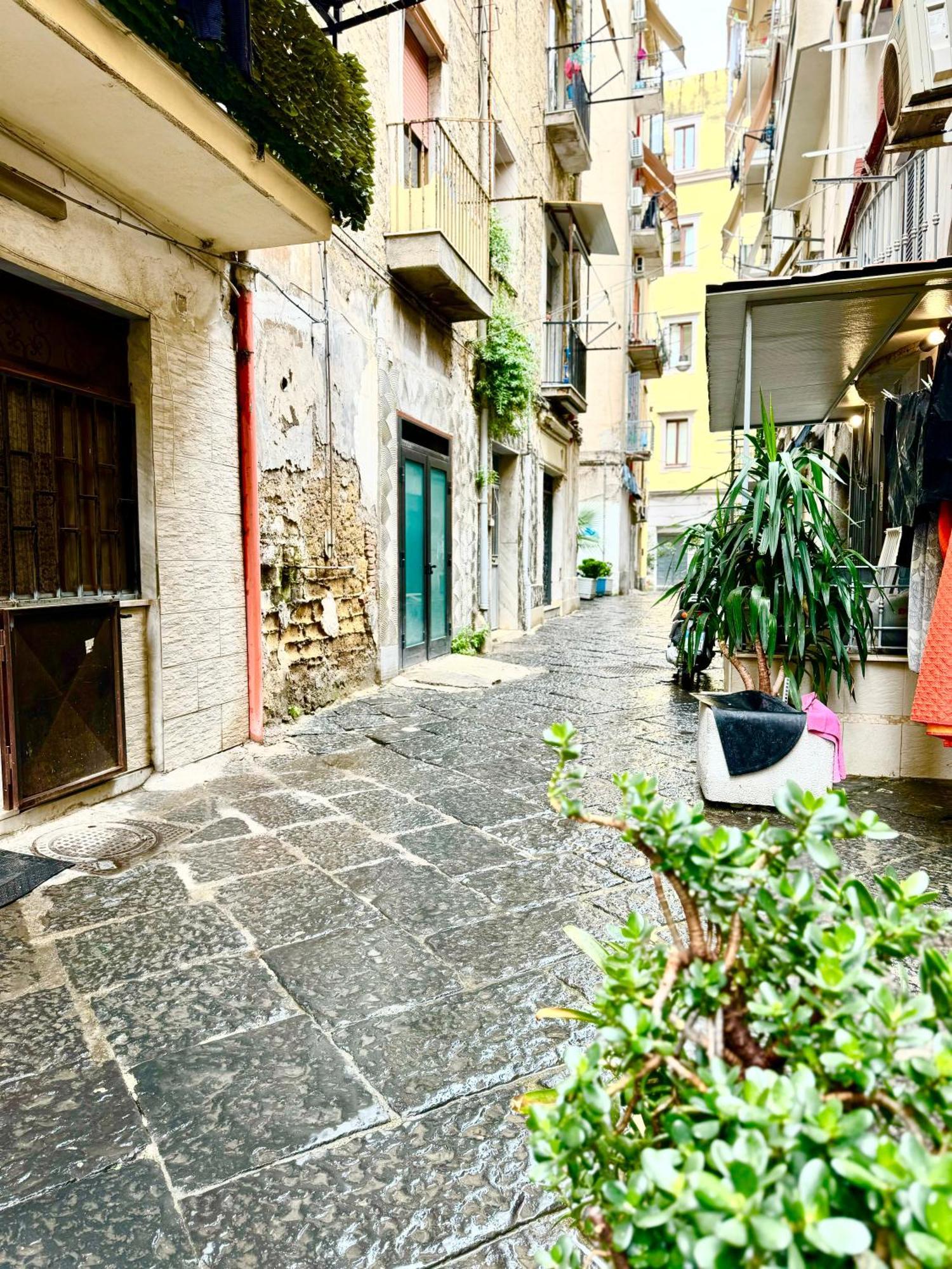 Vesuvius House Lejlighed Napoli Eksteriør billede